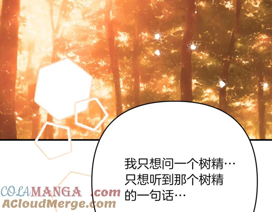 《钻石小姐历险记》第69话 平凡的人类也想和树精对话 第153页