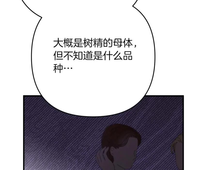 《钻石小姐历险记》第69话 平凡的人类也想和树精对话 第76页