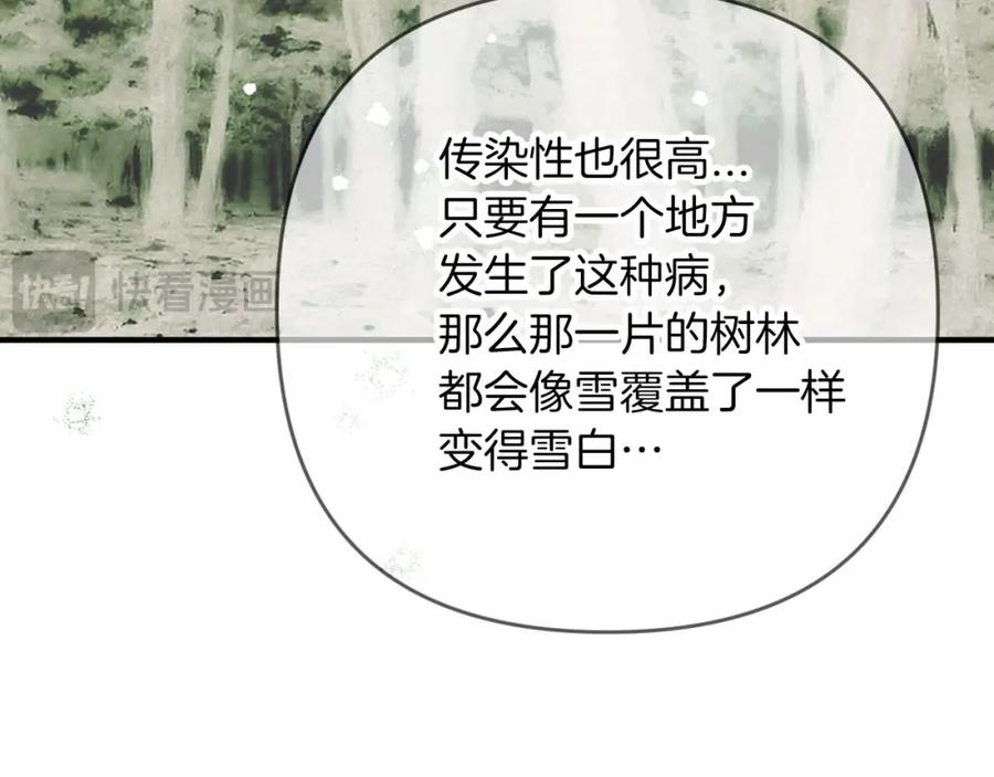 《钻石小姐历险记》第69话 平凡的人类也想和树精对话 第143页