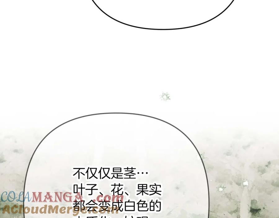 《钻石小姐历险记》第69话 平凡的人类也想和树精对话 第141页