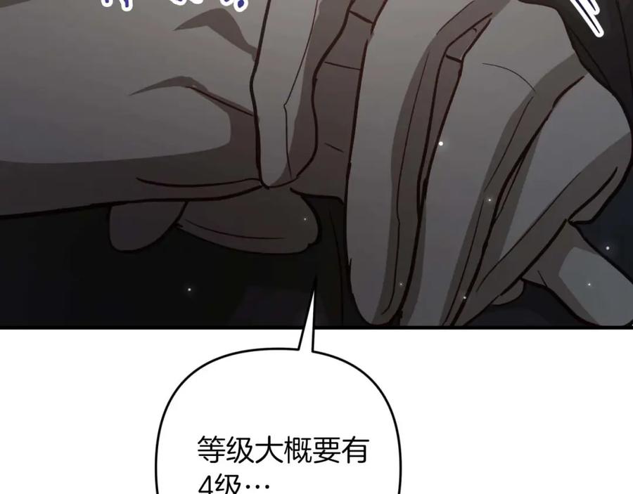 《钻石小姐历险记》第69话 平凡的人类也想和树精对话 第163页