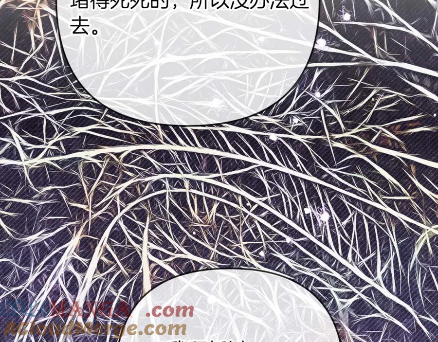 《钻石小姐历险记》第69话 平凡的人类也想和树精对话 第73页