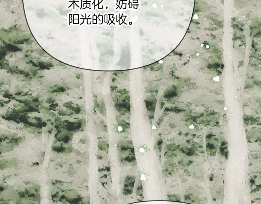 《钻石小姐历险记》第69话 平凡的人类也想和树精对话 第142页