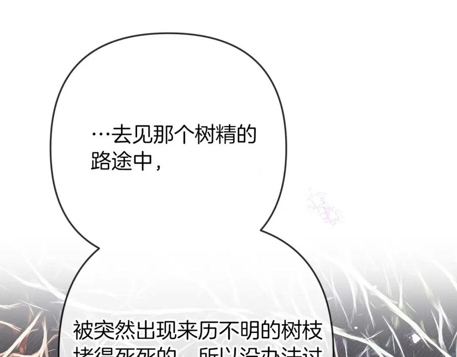 《钻石小姐历险记》第69话 平凡的人类也想和树精对话 第72页