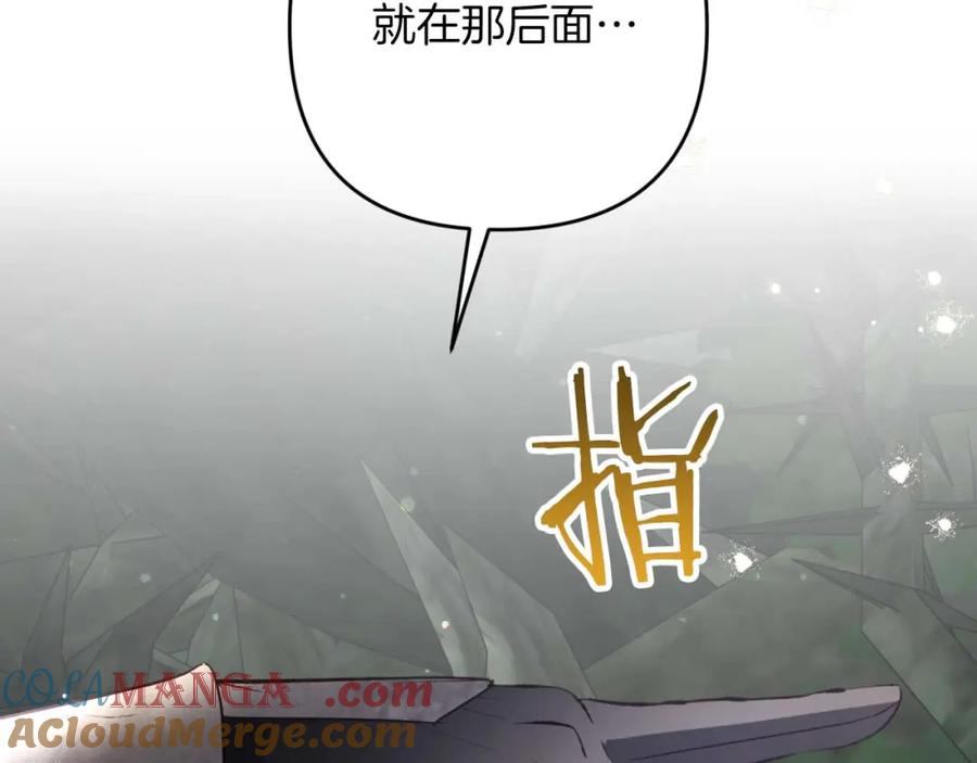 《钻石小姐历险记》第70话 求救的黑色树枝 第217页