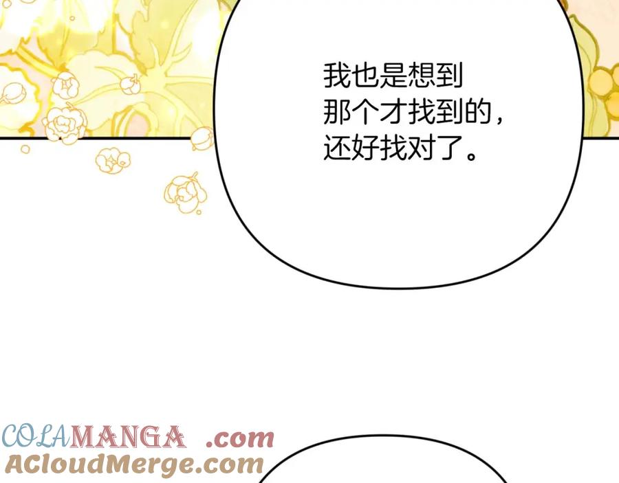 《钻石小姐历险记》第70话 求救的黑色树枝 第213页