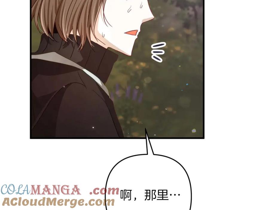 《钻石小姐历险记》第70话 求救的黑色树枝 第29页