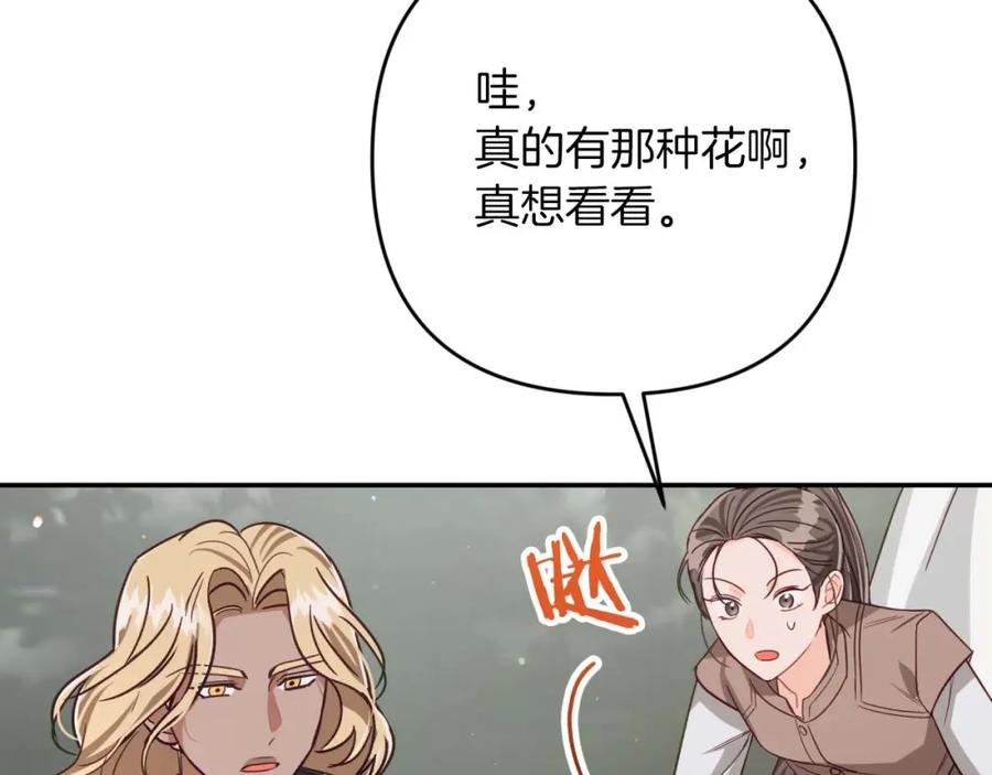 《钻石小姐历险记》第70话 求救的黑色树枝 第214页