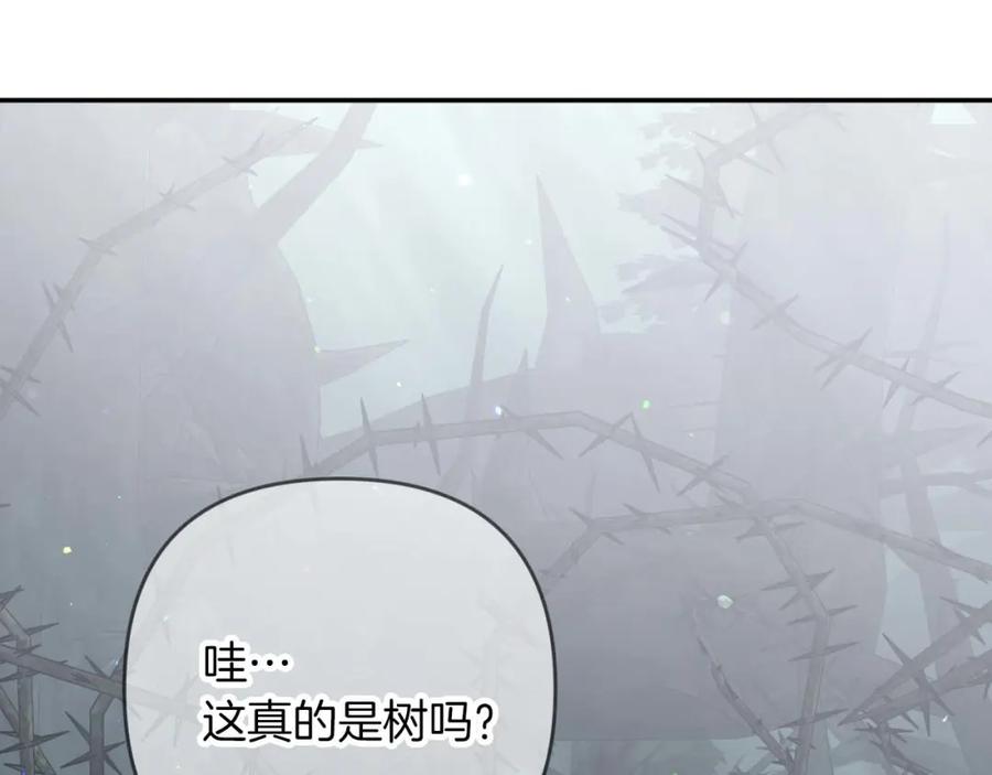 《钻石小姐历险记》第70话 求救的黑色树枝 第34页