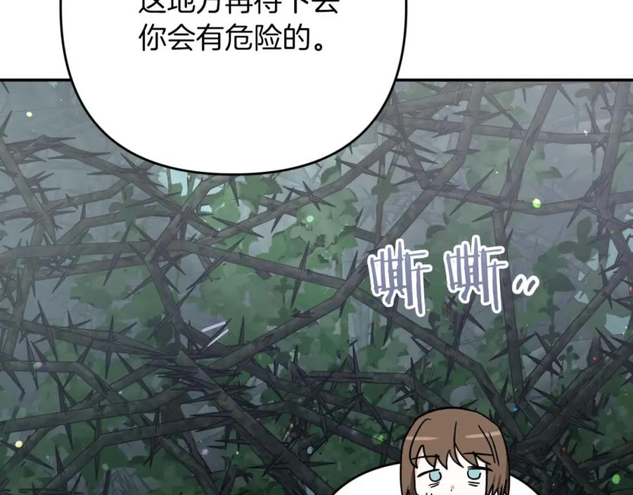 《钻石小姐历险记》第70话 求救的黑色树枝 第162页