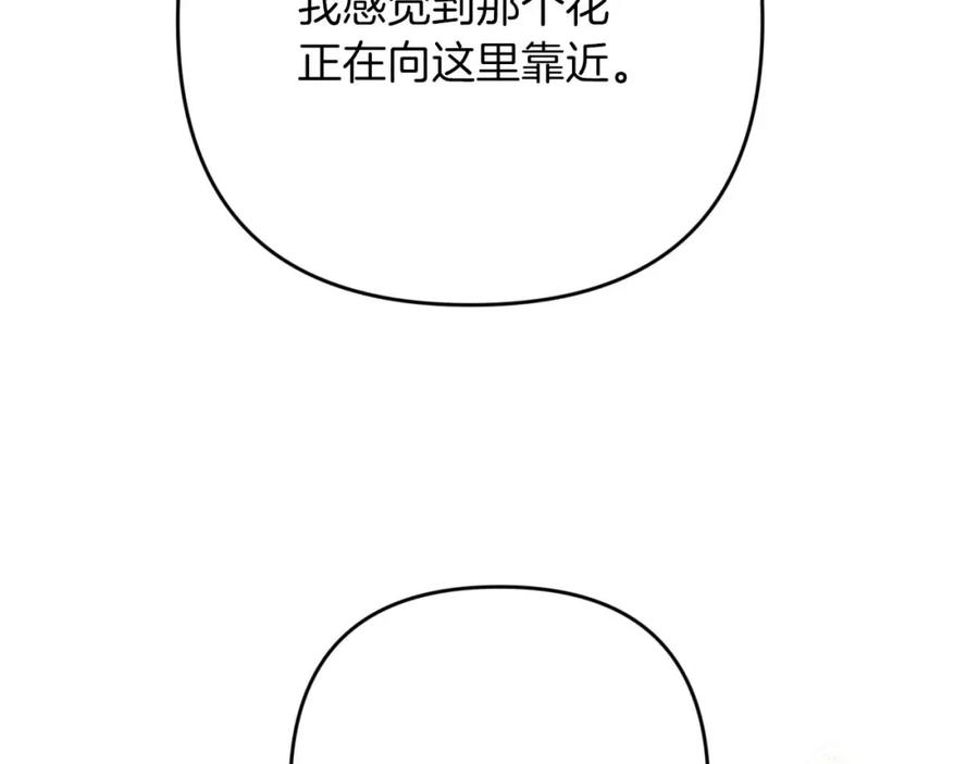《钻石小姐历险记》第70话 求救的黑色树枝 第216页