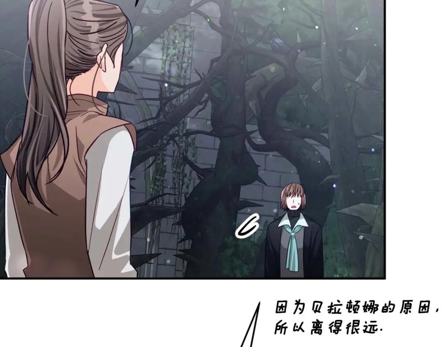 《钻石小姐历险记》第70话 求救的黑色树枝 第184页