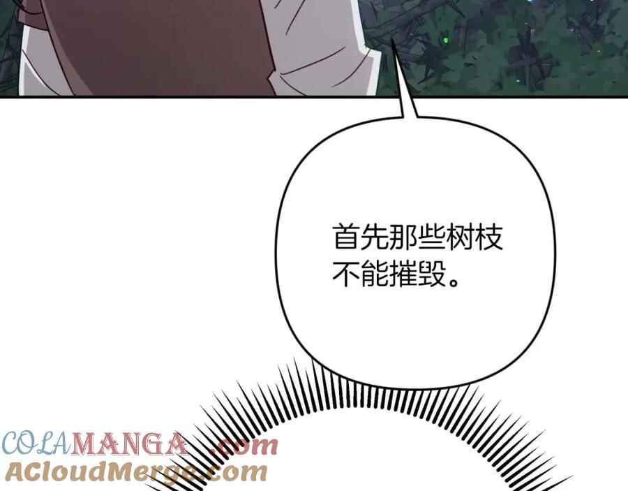 《钻石小姐历险记》第70话 求救的黑色树枝 第165页
