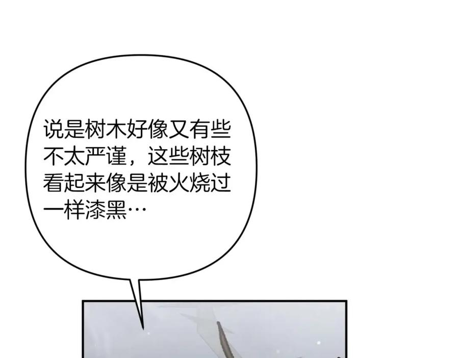 《钻石小姐历险记》第70话 求救的黑色树枝 第39页