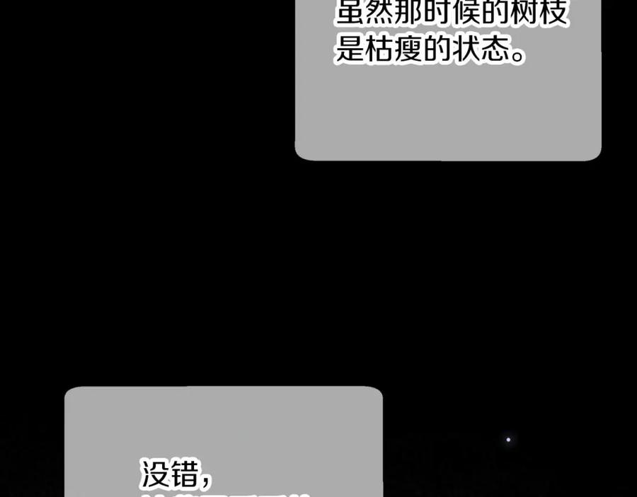 《钻石小姐历险记》第70话 求救的黑色树枝 第127页