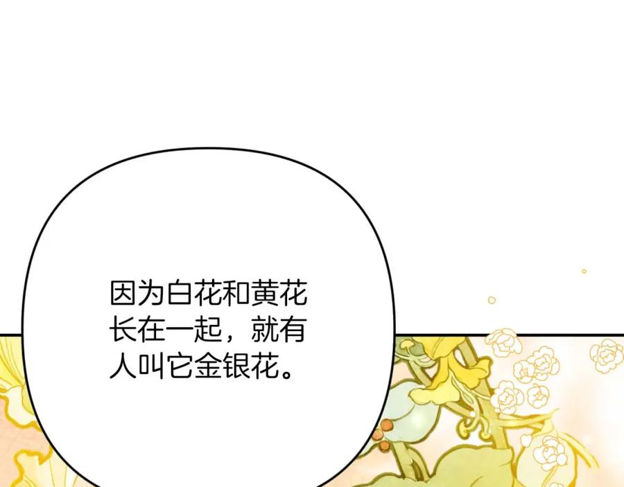 《钻石小姐历险记》第70话 求救的黑色树枝 第211页