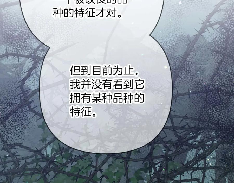 《钻石小姐历险记》第70话 求救的黑色树枝 第66页