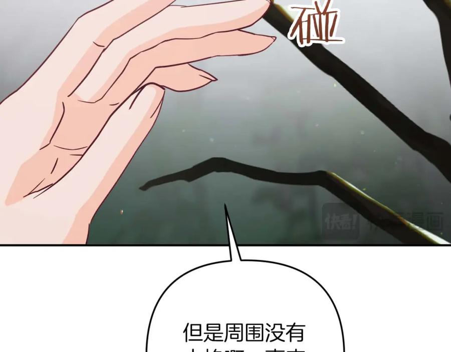 《钻石小姐历险记》第70话 求救的黑色树枝 第43页
