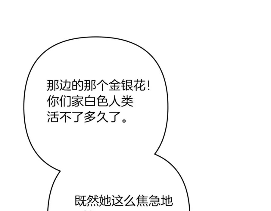 《钻石小姐历险记》第71话 重生的“家人” 第34页