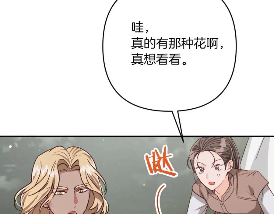 《钻石小姐历险记》第71话 重生的“家人” 第4页