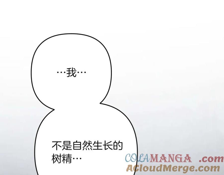 《钻石小姐历险记》第71话 重生的“家人” 第77页