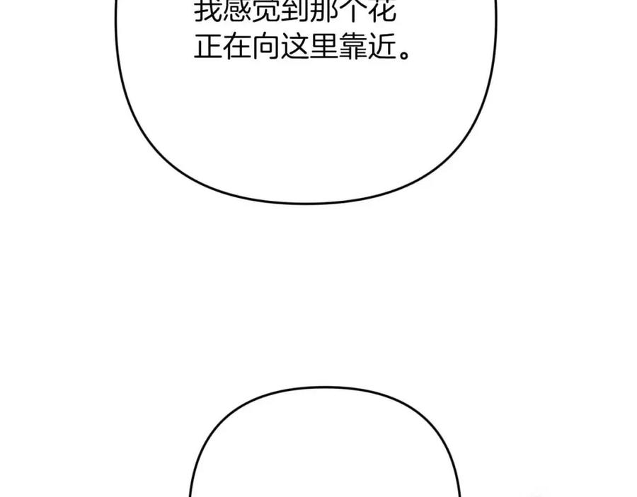 《钻石小姐历险记》第71话 重生的“家人” 第6页