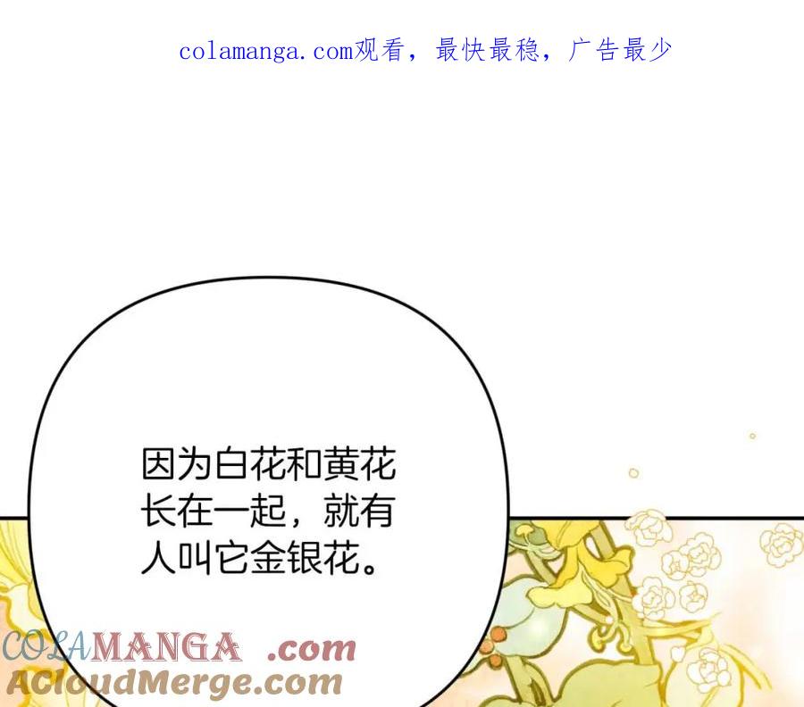 《钻石小姐历险记》第71话 重生的“家人” 第1页
