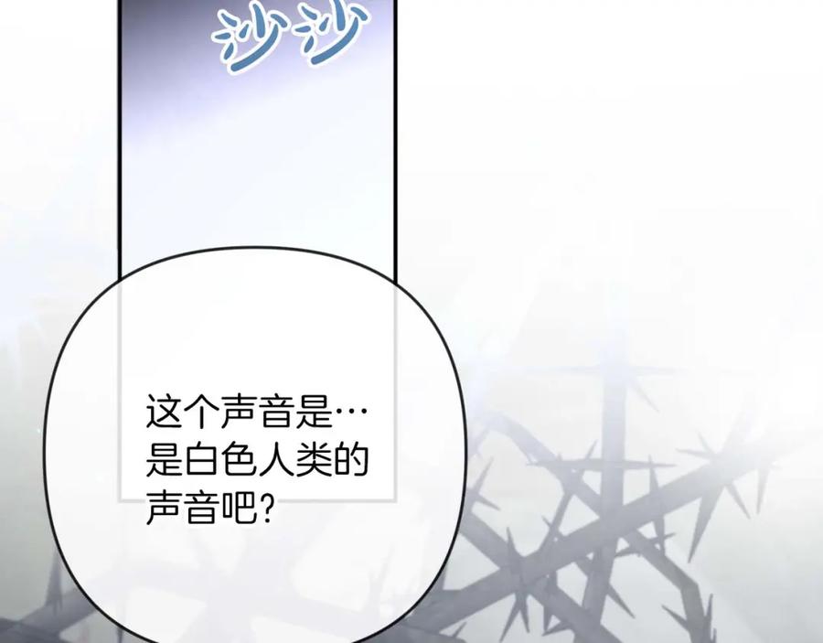 《钻石小姐历险记》第71话 重生的“家人” 第16页