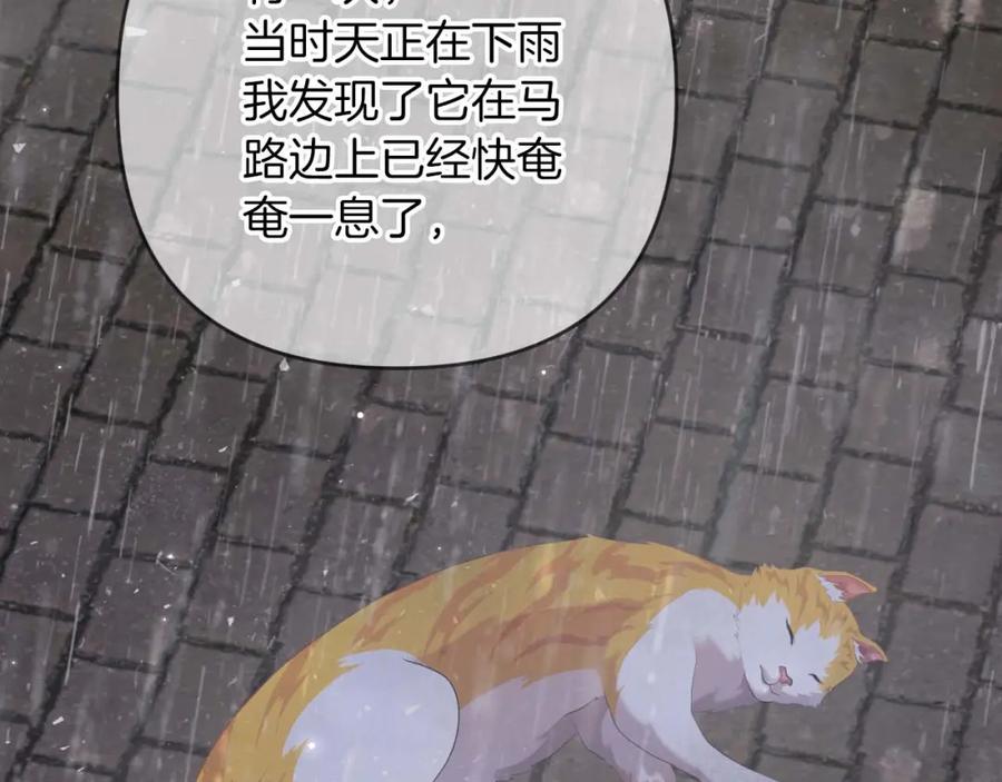 《钻石小姐历险记》第71话 重生的“家人” 第52页