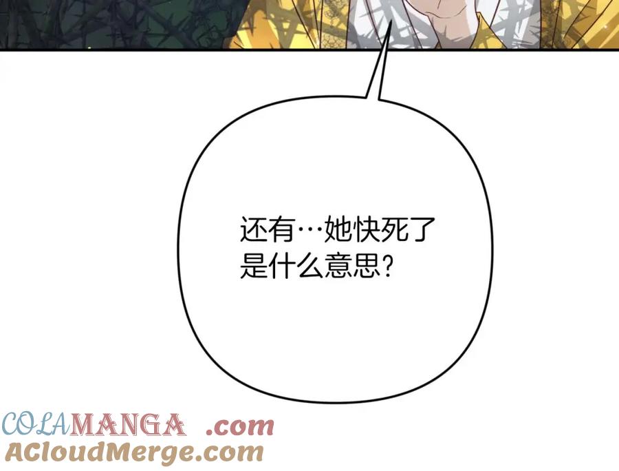 《钻石小姐历险记》第71话 重生的“家人” 第97页