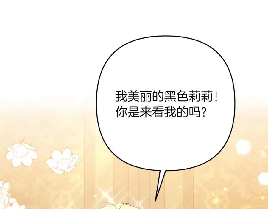 《钻石小姐历险记》第71话 重生的“家人” 第166页