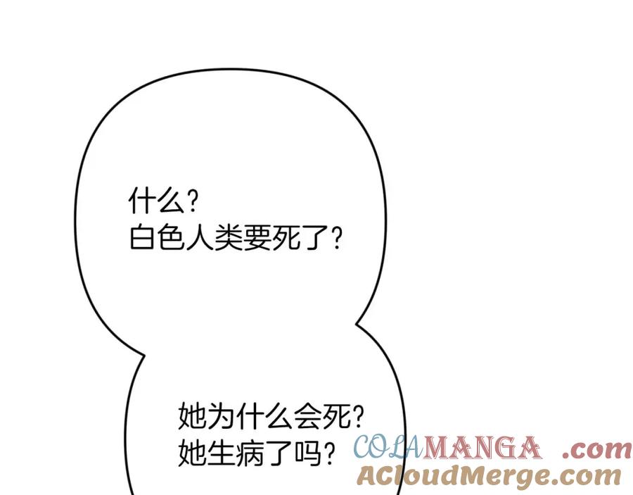 《钻石小姐历险记》第71话 重生的“家人” 第37页