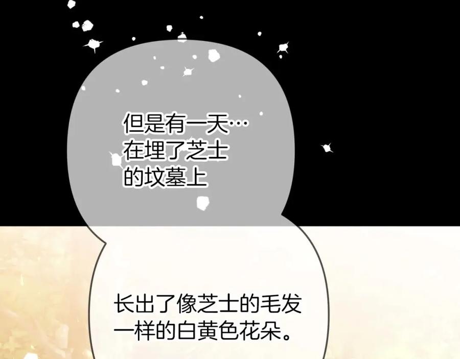 《钻石小姐历险记》第71话 重生的“家人” 第64页