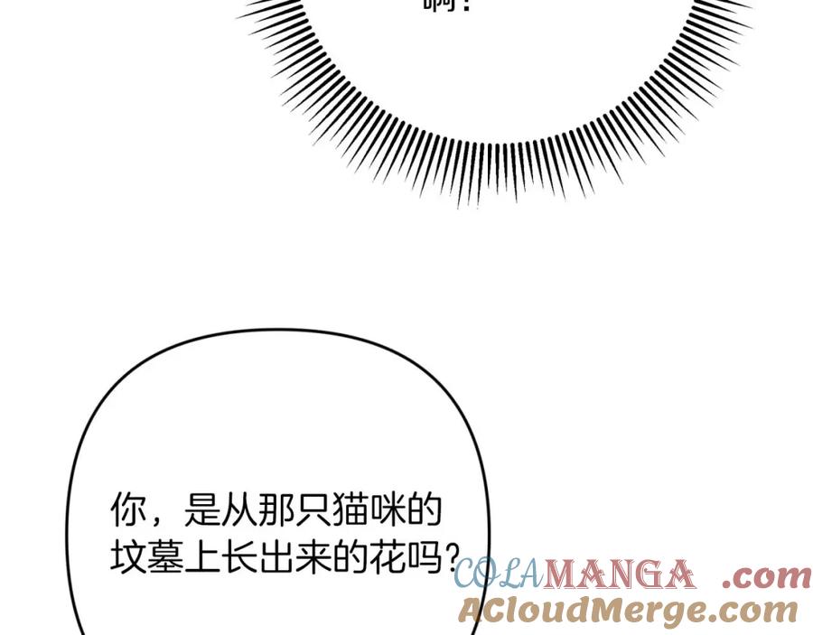 《钻石小姐历险记》第71话 重生的“家人” 第73页