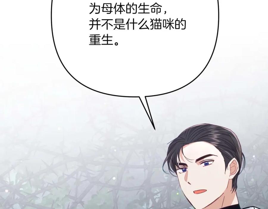 《钻石小姐历险记》第71话 重生的“家人” 第70页