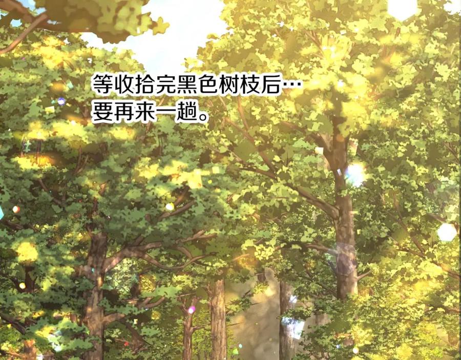 《钻石小姐历险记》第71话 重生的“家人” 第158页