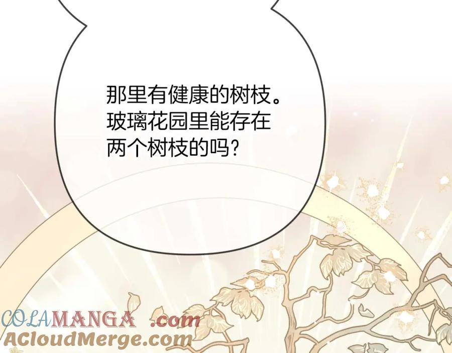 《钻石小姐历险记》第72话 愈来愈近的真相 第77页