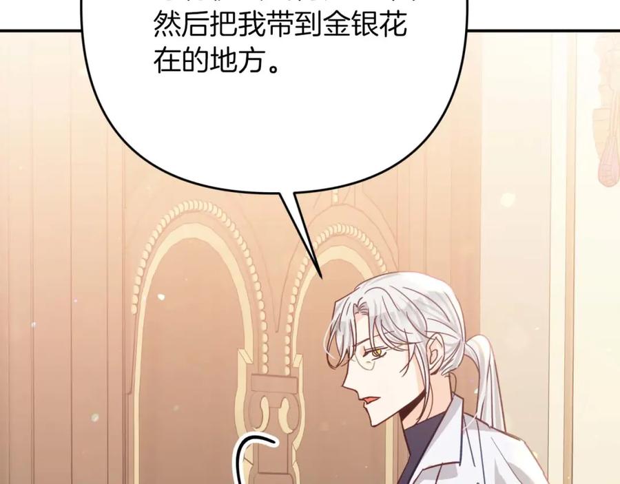《钻石小姐历险记》第73话 一切的元凶 第84页
