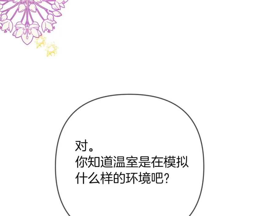 《钻石小姐历险记》第74话 第16个玻璃花园的秘密 第192页