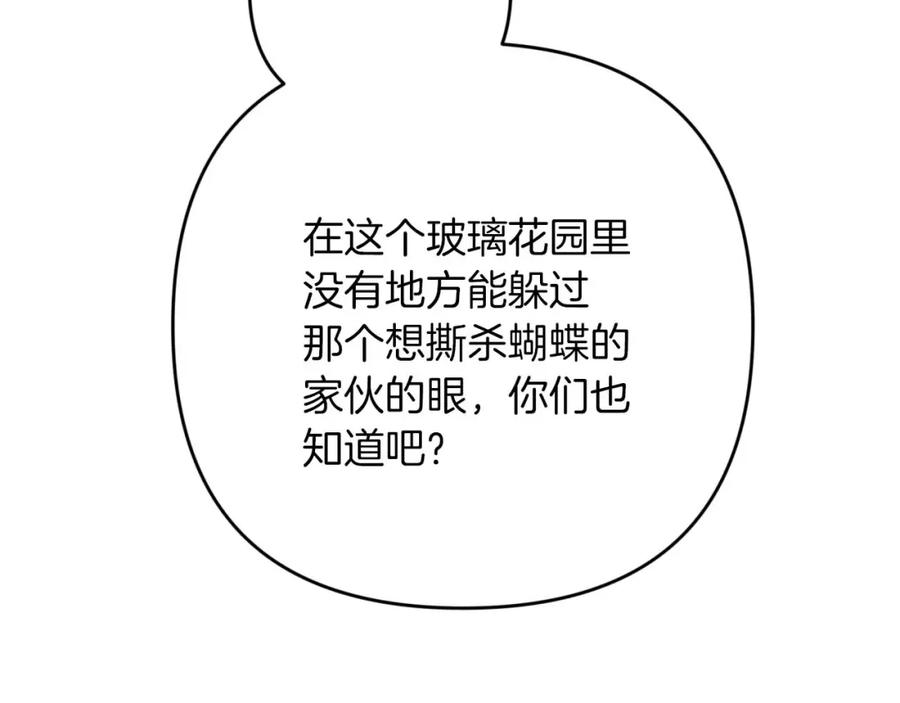 《钻石小姐历险记》第74话 第16个玻璃花园的秘密 第20页
