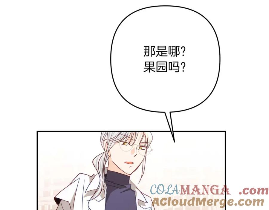 《钻石小姐历险记》第74话 第16个玻璃花园的秘密 第25页