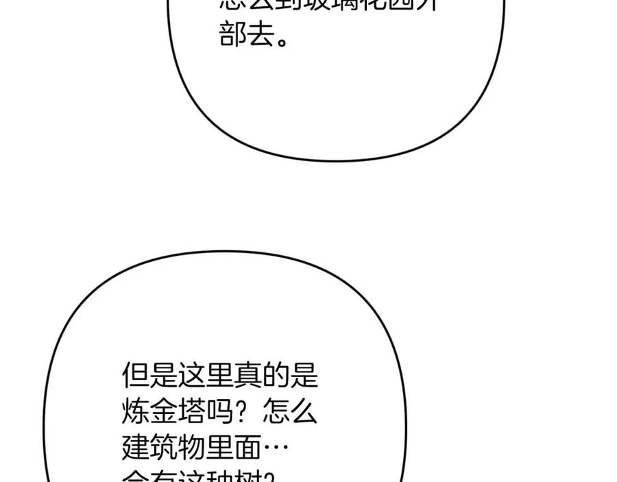 《钻石小姐历险记》第74话 第16个玻璃花园的秘密 第178页