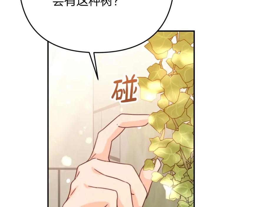 《钻石小姐历险记》第74话 第16个玻璃花园的秘密 第179页