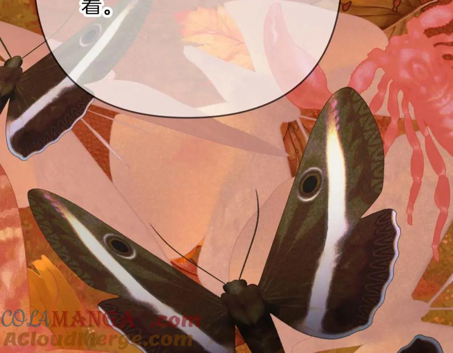 《钻石小姐历险记》第74话 第16个玻璃花园的秘密 第161页