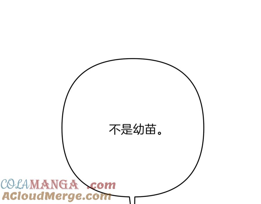 《钻石小姐历险记》第75话 白色纯种的黛西 第181页