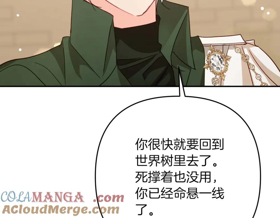 《钻石小姐历险记》第76话 成长后的小树精 第25页