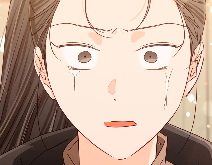 《钻石小姐历险记》第76话 成长后的小树精 第102页