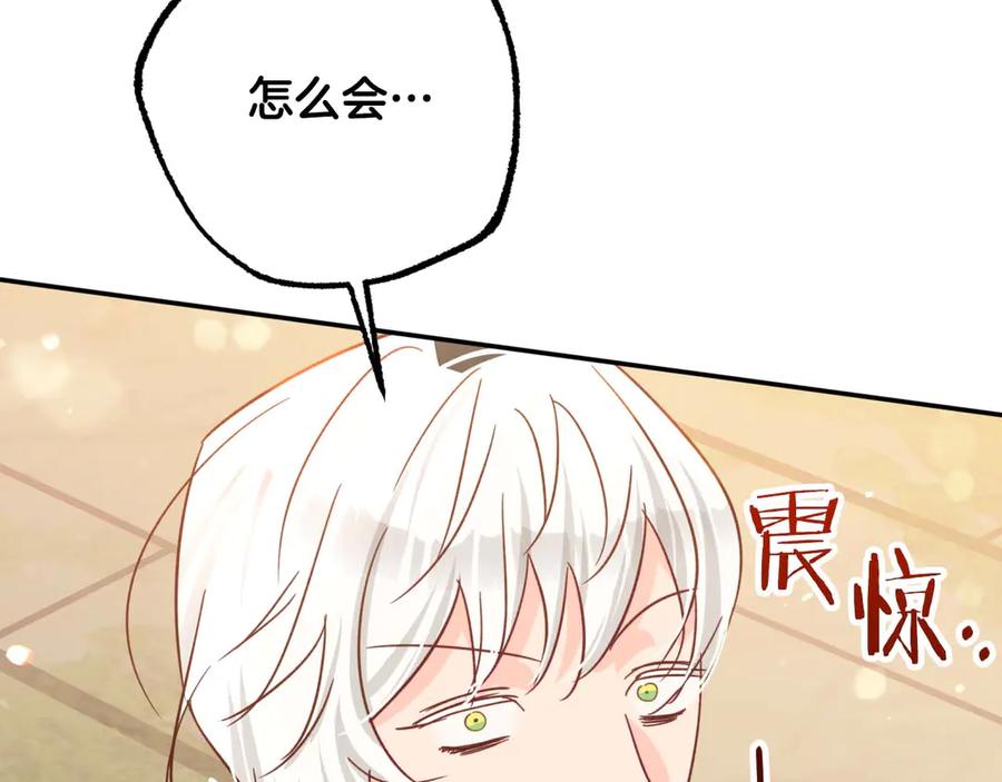 《钻石小姐历险记》第76话 成长后的小树精 第114页