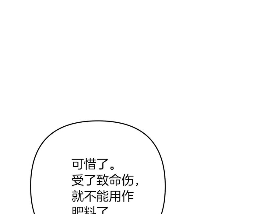 《钻石小姐历险记》第76话 成长后的小树精 第23页