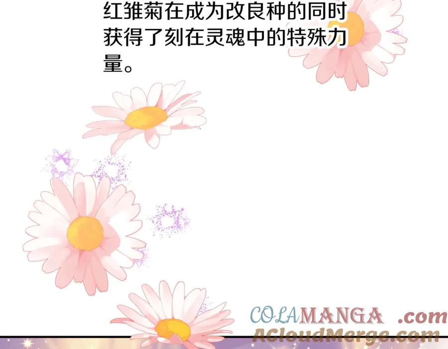 《钻石小姐历险记》第76话 成长后的小树精 第117页